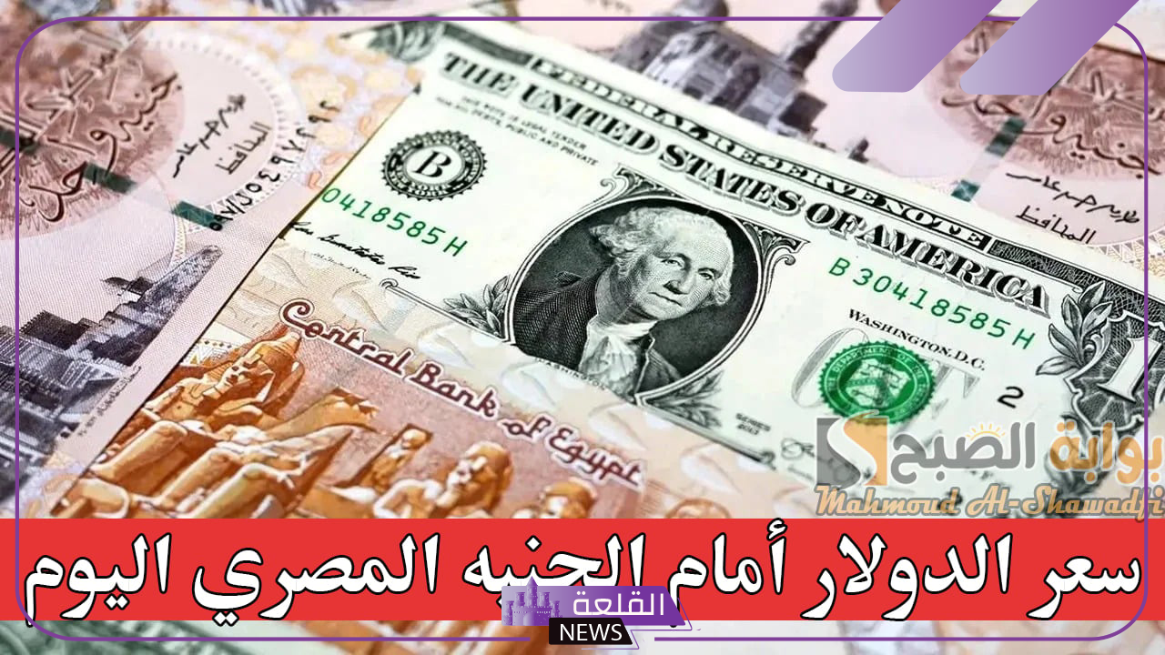 وصل كام اليوم؟ سعر شراء الدولار الأمريكي مقابل الجنيه المصري اليوم الأحد 15 سبتمبر 2024 5 سعر صرف الدولار في البنك المركزي اليوم