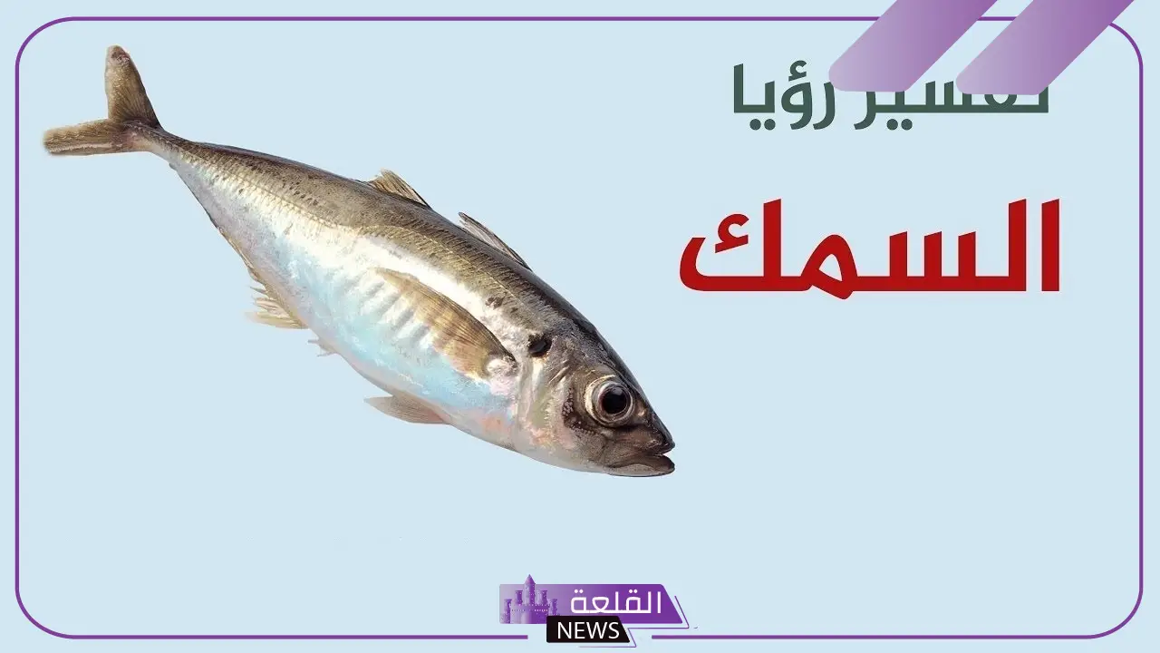 تفسير حلم اكل السمك في المنام وعلاقته بقدوم الخير 5 حلم أكل السمك وعلاقته بقدوم الخير
