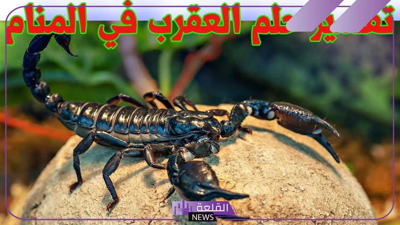 تفسير حلم العقرب الصفراء للرجل في المنام لابن سيرين