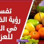 تفسير حلم رؤية الفواكه في المنام للعزباء والمطلقة لابن سيرين