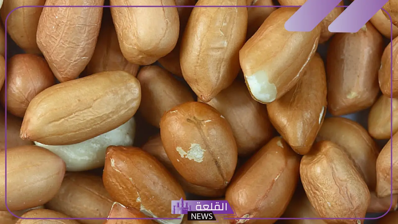 تفسير حلم اكل الفول السوداني في المنام للعزباء والمتزوجة لابن سيرين 6 أكل الفول السوداني في المنام