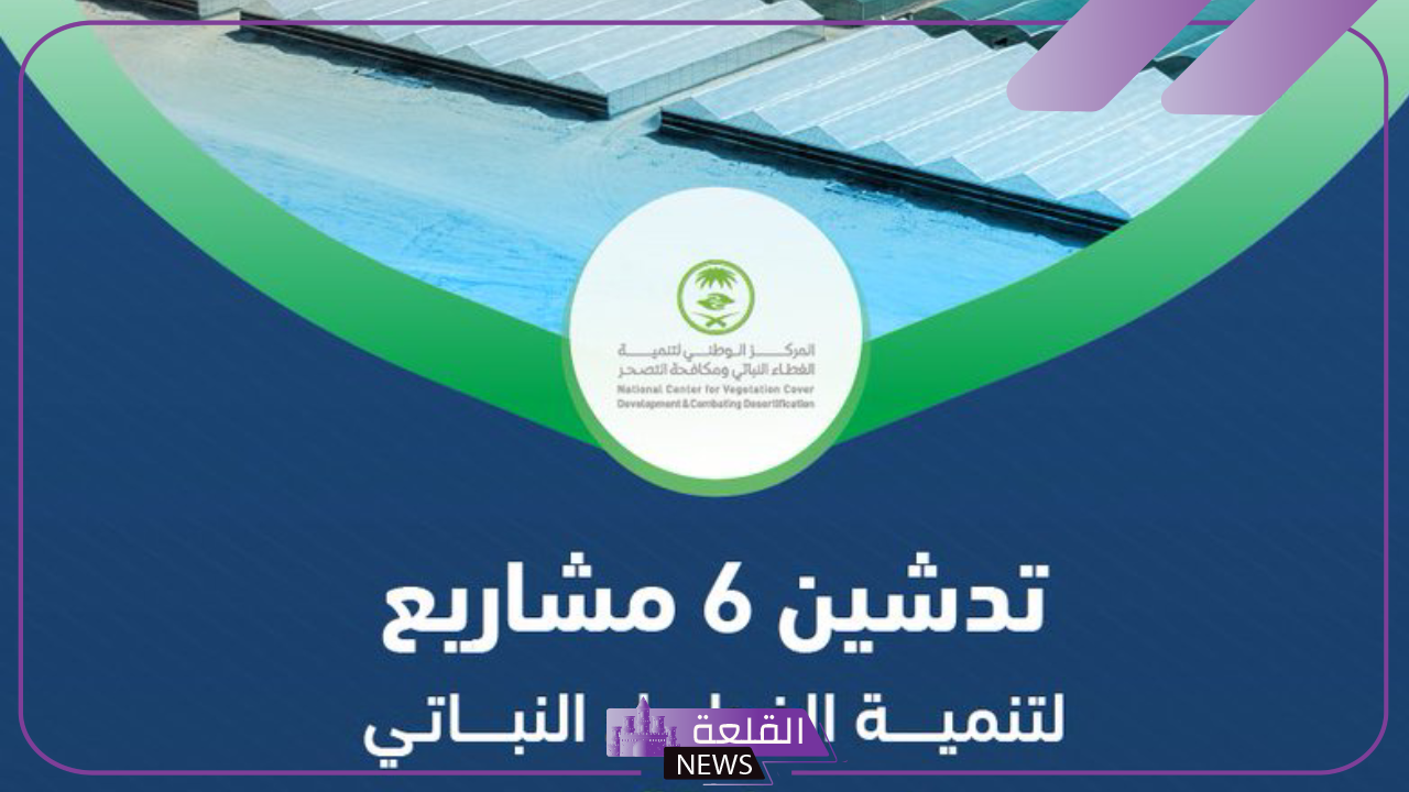 وزير البيئة.. لدينا 6 مشاريع لتنمية الغطاء النباتي والعمل على الحد من التصحر