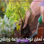 رسميًًا.. اتجاه السعودية لتوطين وزراعة الورود وإنتاجها