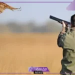 مع بدء موسم الصيد.. قرار جديد بمنع الصيد في تلك المناطق داخل السعودية