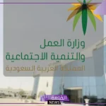 الموارد البشرية.. الكشف عن النظام البديل لنظام الكفيل بالمملكة والموعد المحدد لتنفيذه “اعرف الحقيقة”