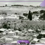 النومسي وش يرجع.. بطون عائلة النومسي