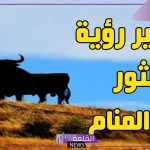 تفسير حلم الهروب من الثور في المنام لابن سيرين