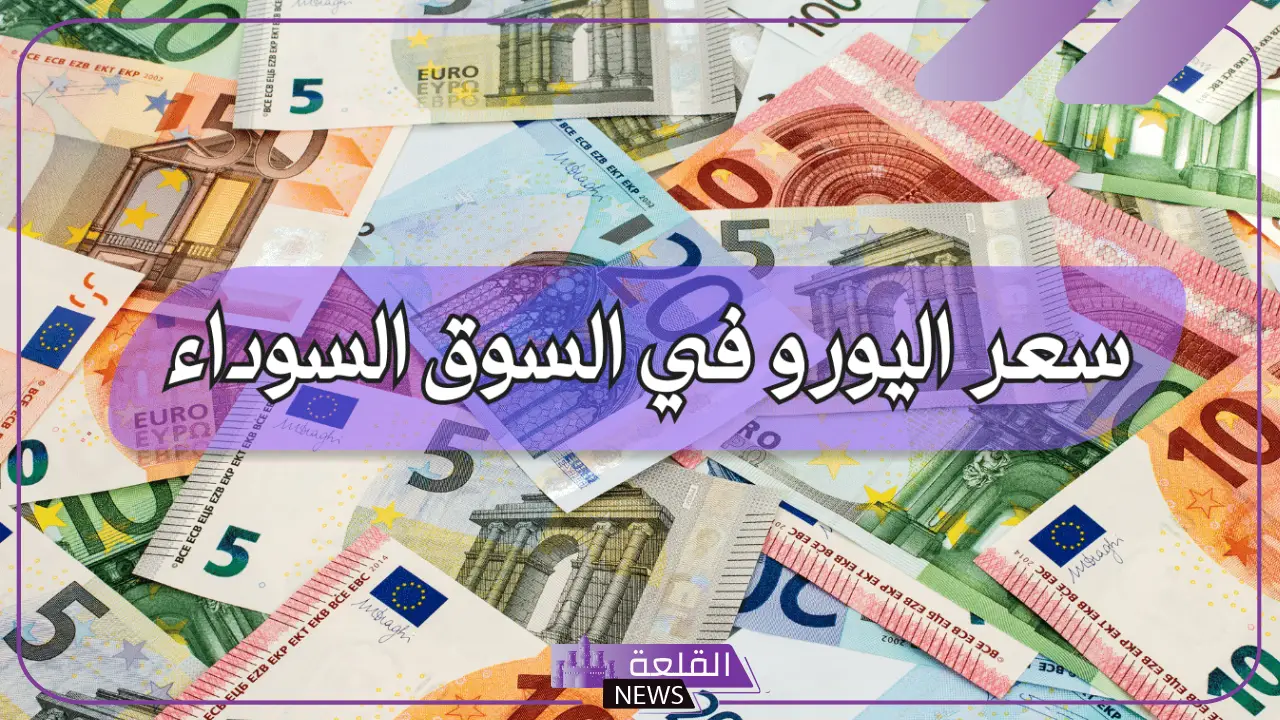أسعار الصرف.. سعر شراء اليورو اليوم مقابل الجنيه المصري في الصرافة أسعار الصرف.. سعر شراء اليورو اليوم مقابل الجنيه المصري في الصرافة