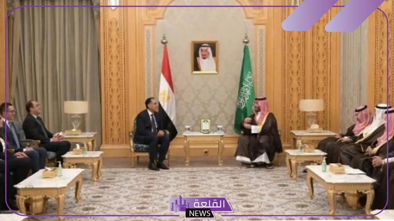 بقيمة 5 مليارات دولار.. ولي العهد يأمر بضخ استثمارات في مصر