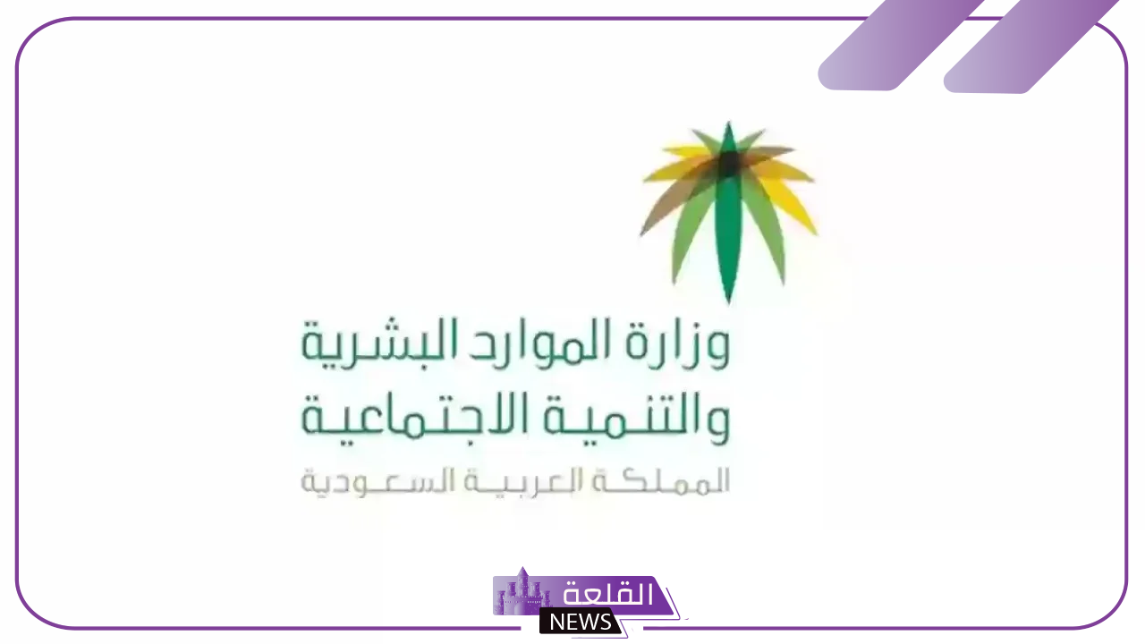 بالضوابط والشروط.. توضيح جميع الشروط للتسجيل في التأهيل الشامل للنساء