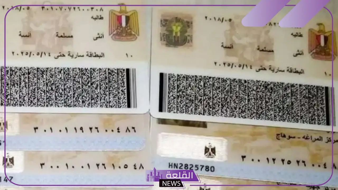 عبر الرابط المباشر.. تجديد بطاقة الرقم القومي أون لاين والاستلام في نفس اليوم 5 تجديد بطاقة الرقم القومي اونلاين من خلال موقع وزارة الداخلية