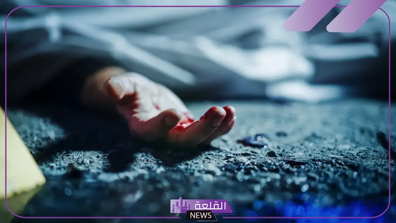 معلومات عن جريمة الشيخ زايد