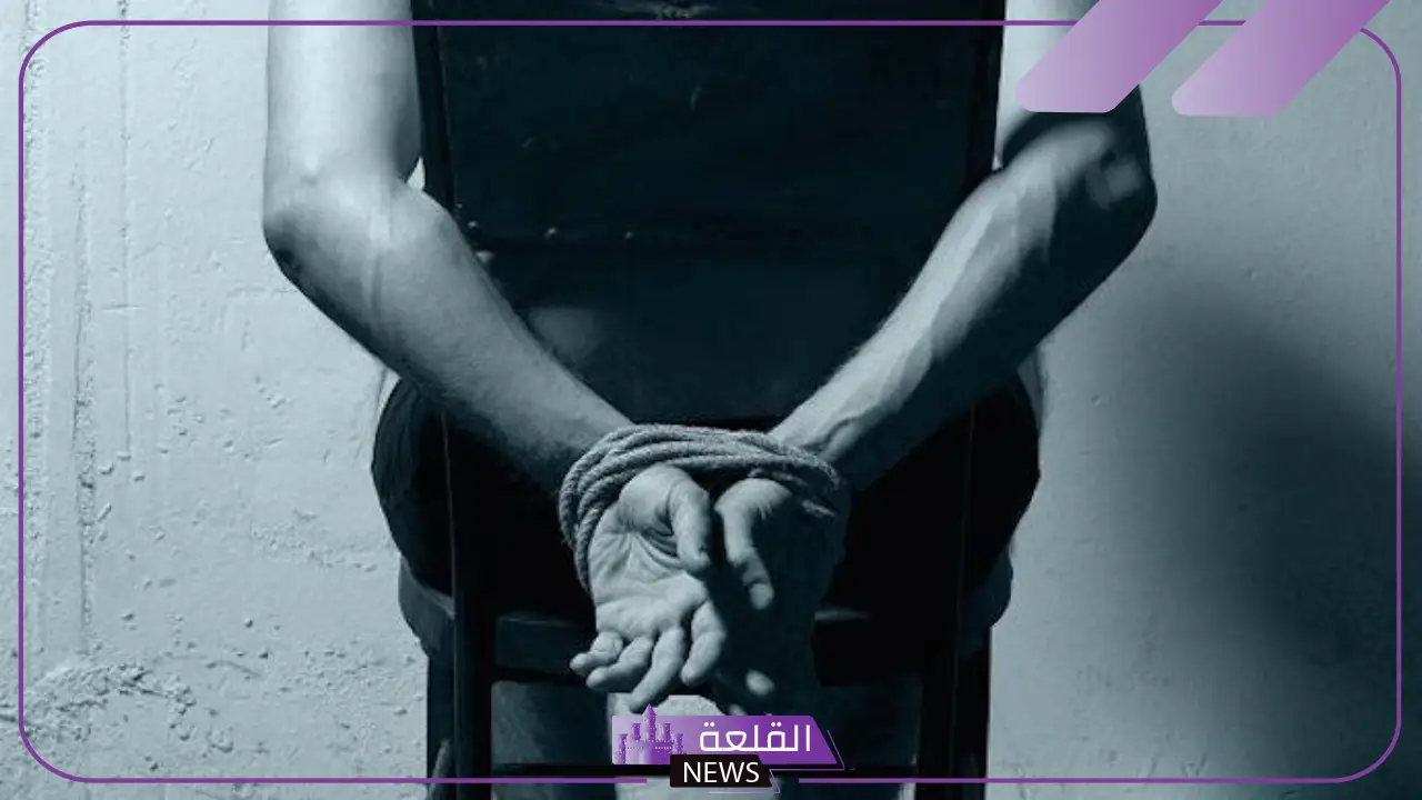 حادثة خطف شها.. الداخلية تعلن ضبط الجناة في واقعة خطف شها