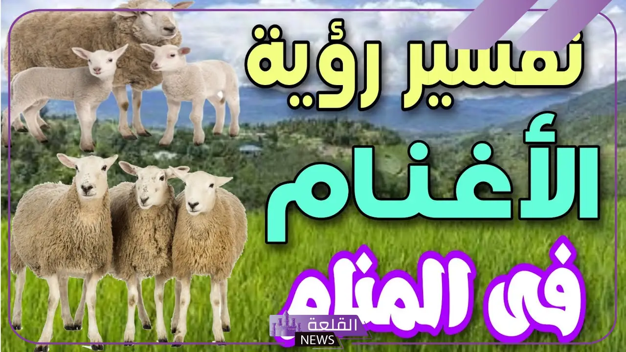 تفسير حلم الغنم في المنام لابن سيرين للعزباء والمتزوجة والمطلقة 5 حلم الغنم في المنام لابن سيرين للعزباء والمتزوجة والمطلقة