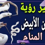 تفسير حلم الثعبان الابيض في المنام لابن سيرين للعزباء والمتزوجة