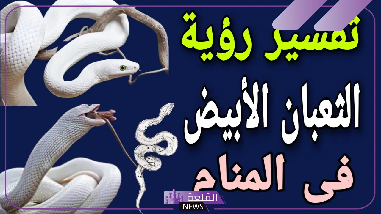 تفسير حلم الثعبان الابيض في المنام لابن سيرين للعزباء والمتزوجة