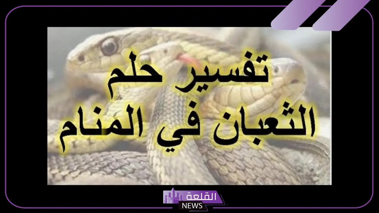 تفسير حلم رؤية الثعبان في المنام للمتزوجة والعزباء لابن سيرين 5 تفسير منام الثعبان لابن سيرين