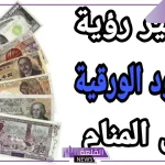 تفسير حلم رؤية المال الورق في المنام لابن سيرين للعزباء والمتزوجة