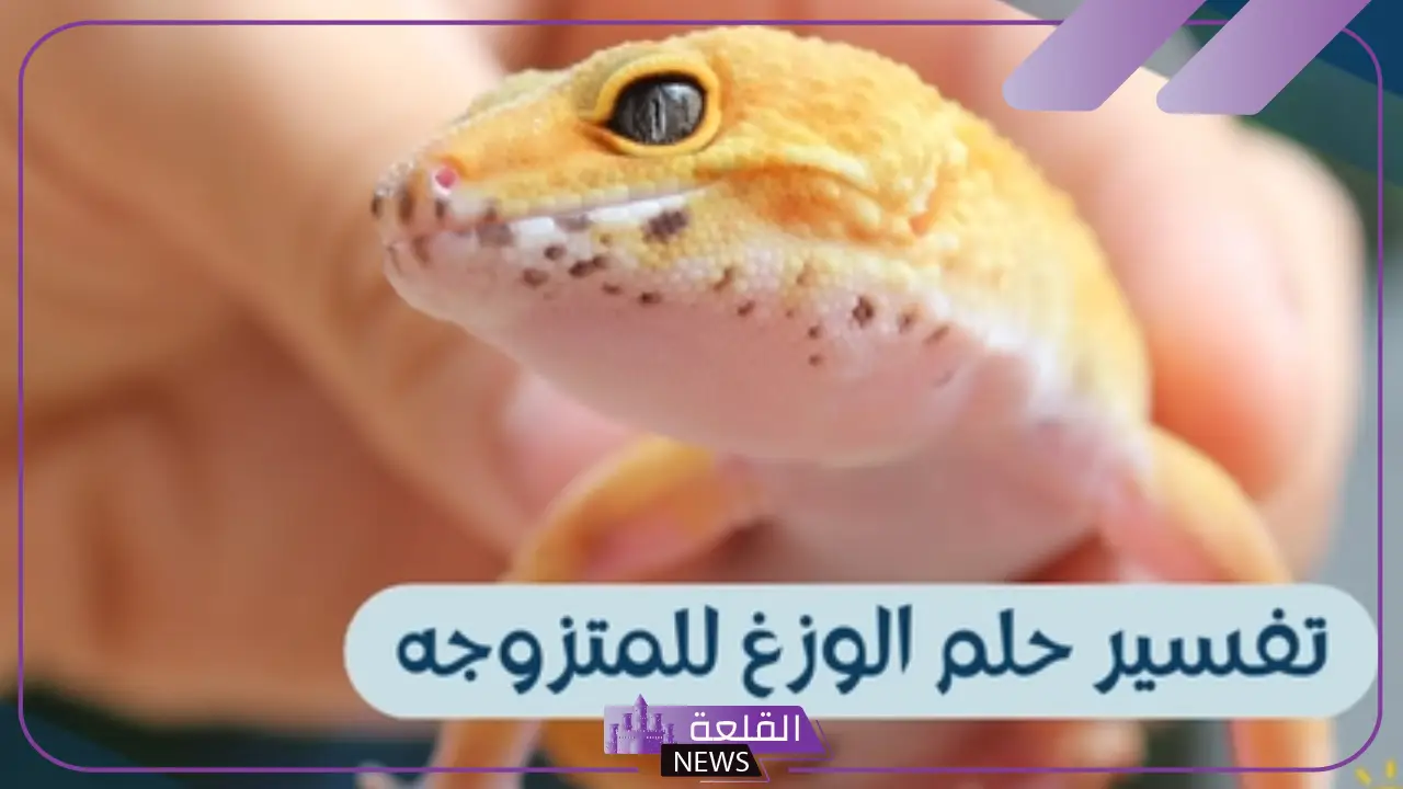 تفسير حلم الوزغ على الجسم في المنام لابن سيرين 6 منام الوزغ على الجسم ماذا يعني