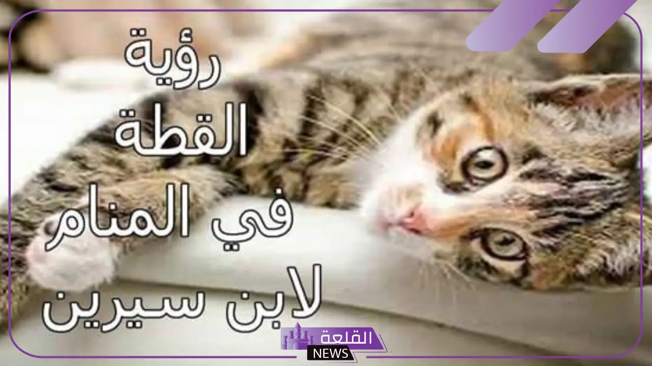 تفسير حلم قطة تهاجمني وتعضني في المنام لابن سيرين 5 تفسير ابن سيرين لهجوم القطة في المنام