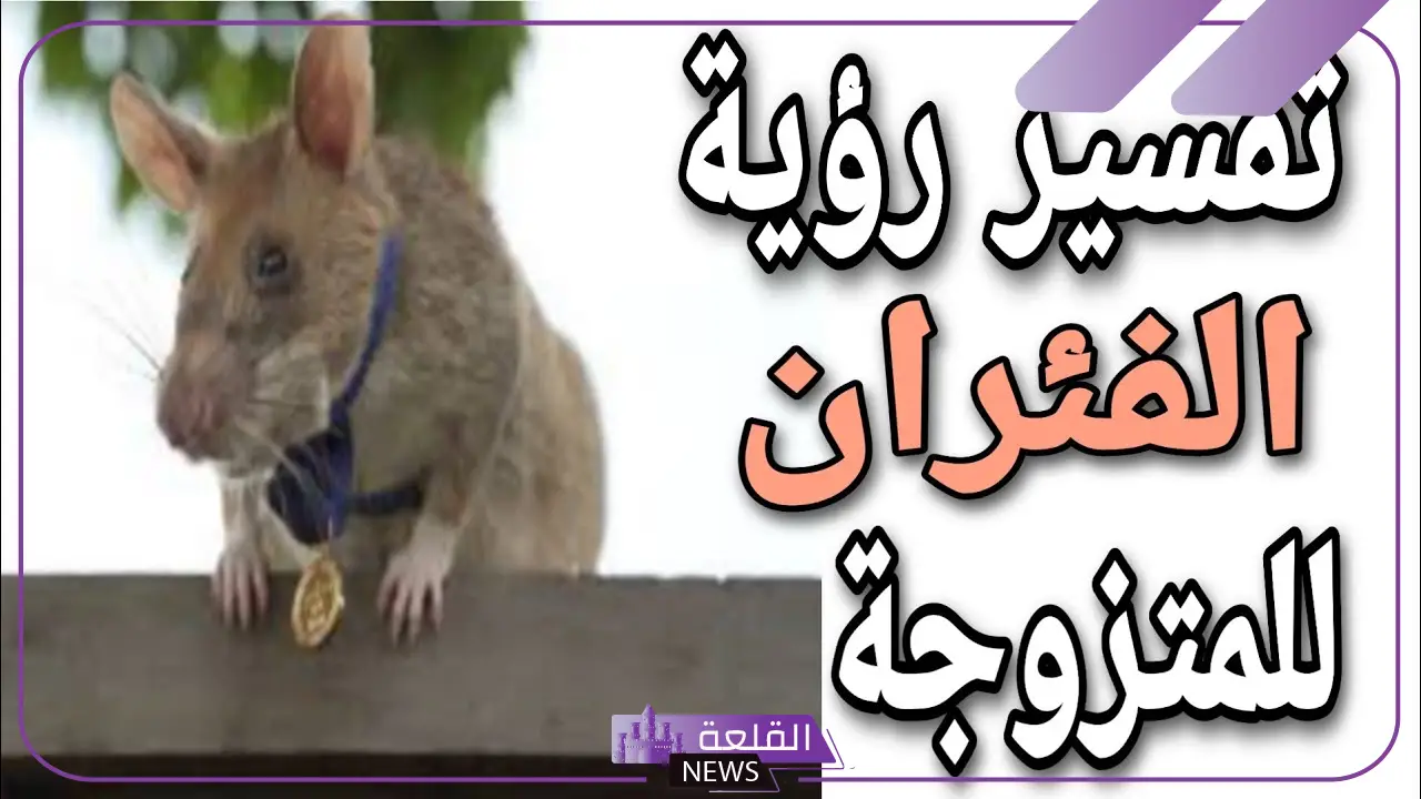 تفسير الحلم بالفئران في المنام لابن سيرين