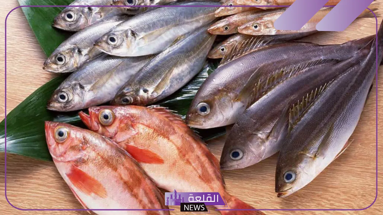 تفسير السمك في الحلم لابن سيرين.. دلالة رؤية السمك في المنام 5 رموز الحلم بالسمك