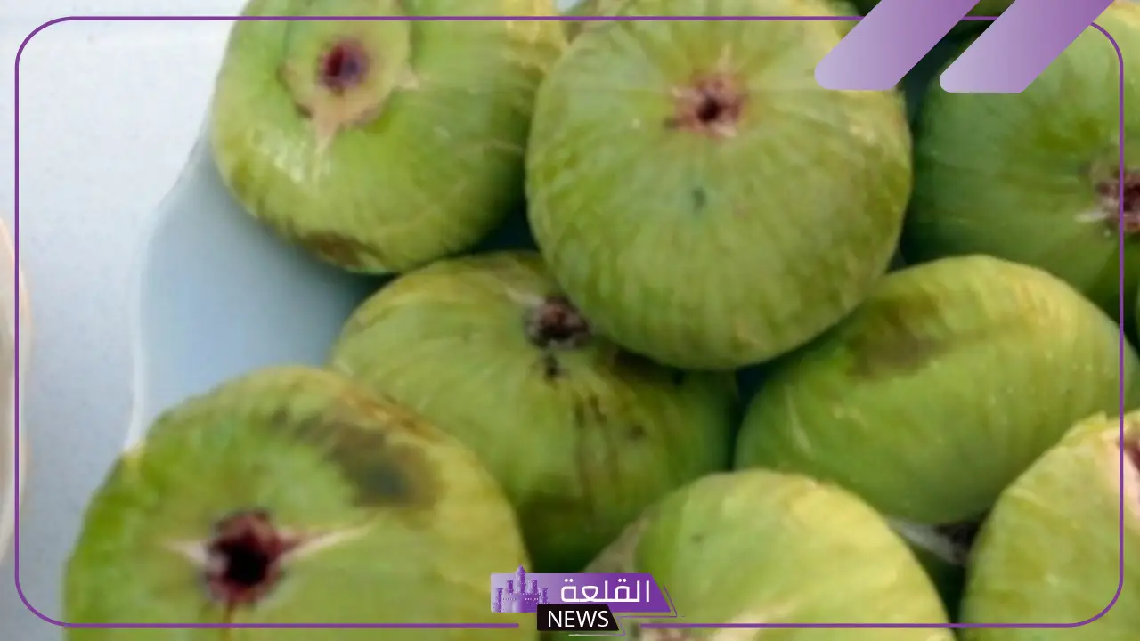 تفسير حلم اكل التين من الشجرة في المنام لابن سيرين 6 التين الأخضر في المنام