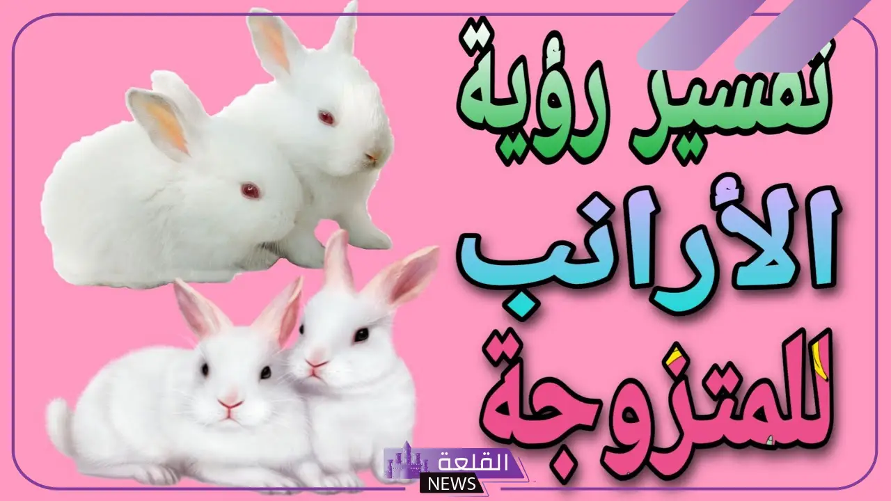 تفسير حلم الارنب في المنام.. رمز الأرنب في الحلم لابن سيرين 6 رؤية الأرنب في المنام للمرأة