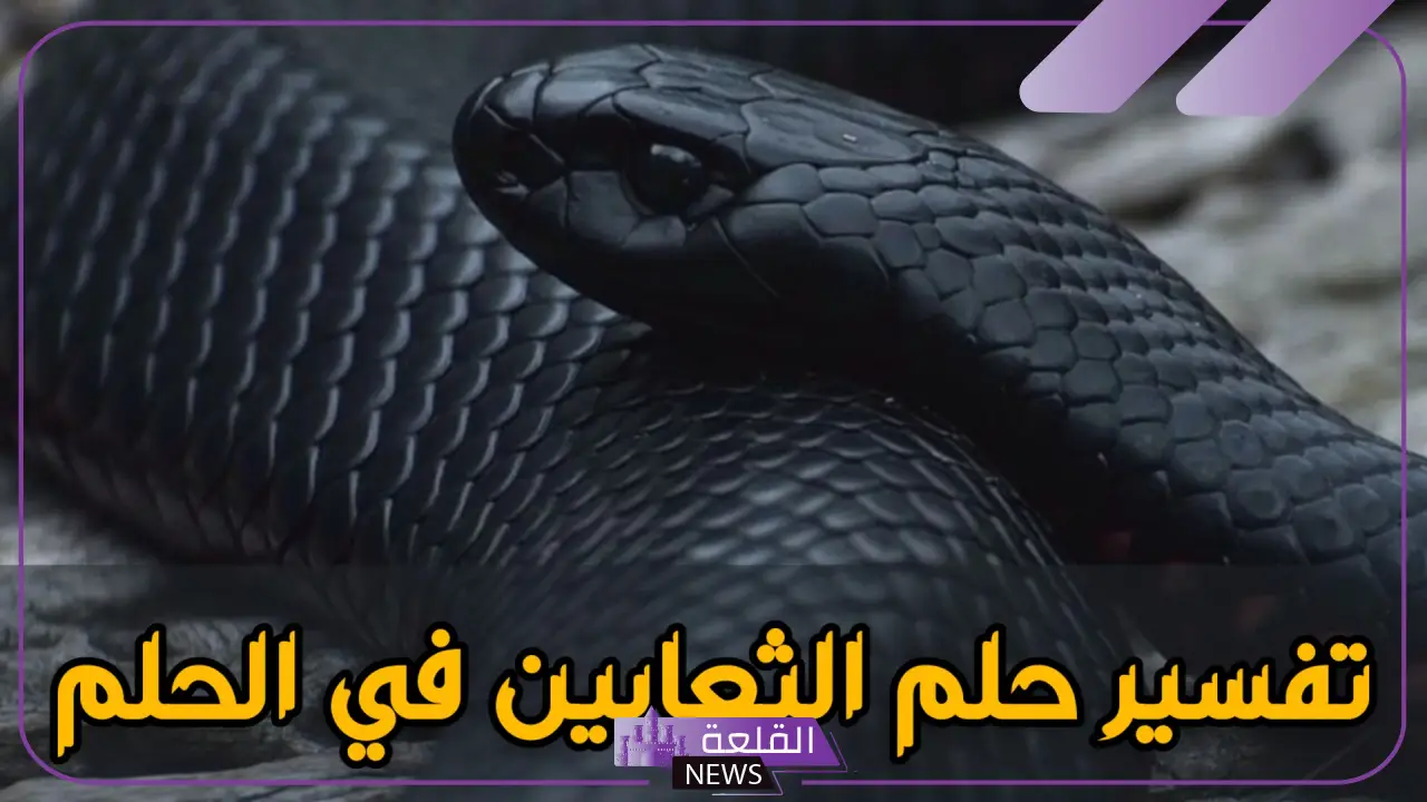 تفسير حلم ثعبان اسود يهاجمني في المنام لابن سيرين