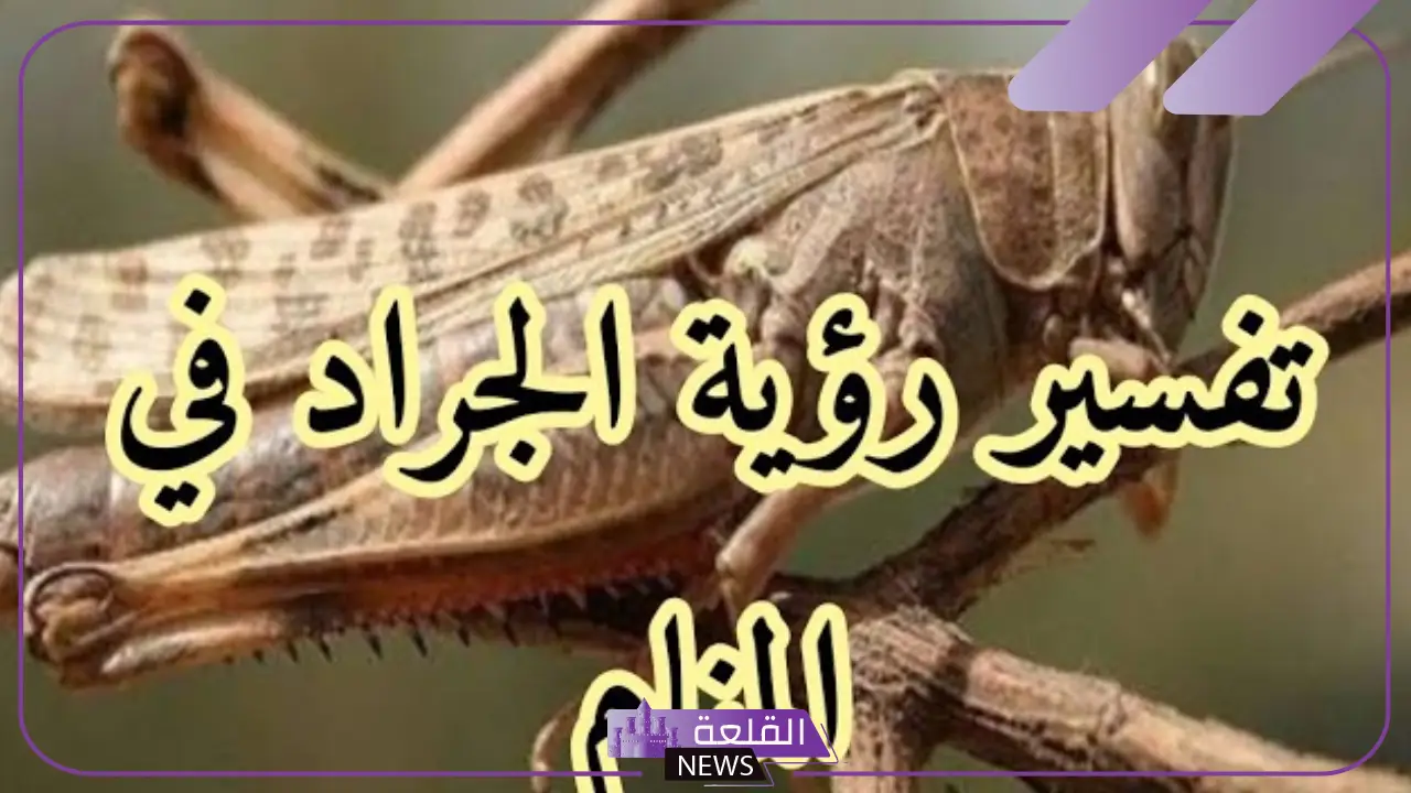 تفسير حلم الجراد في المنام وعلاقته بكثرة المشاكل والهموم 5 معنى رؤية حلم الجراد في المنام