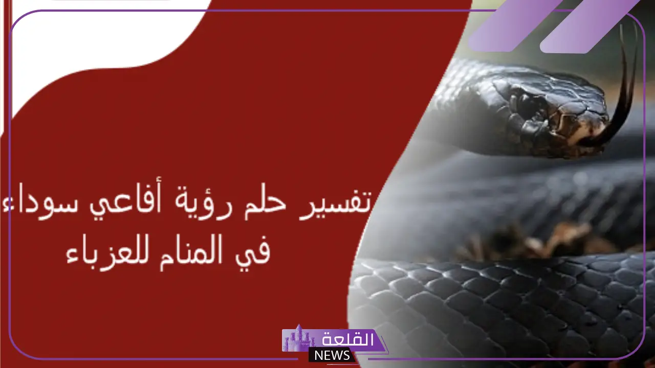 تفسير حلم الحية السوداء في المنام لابن سيرين 6 رؤية الحية السوداء في منام العزباء ماذا يعني