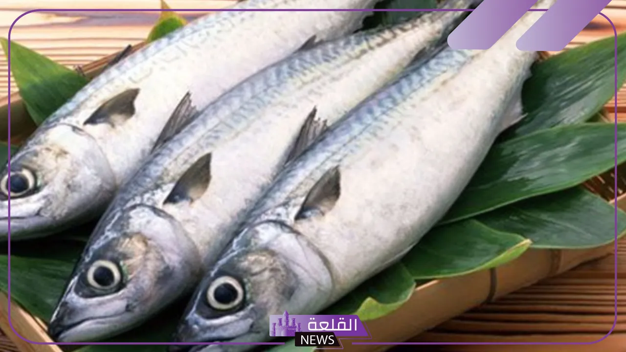 تفسير حلم السمك في المنام للعزباء لابن سيرين 5 معنى السمك في المنام