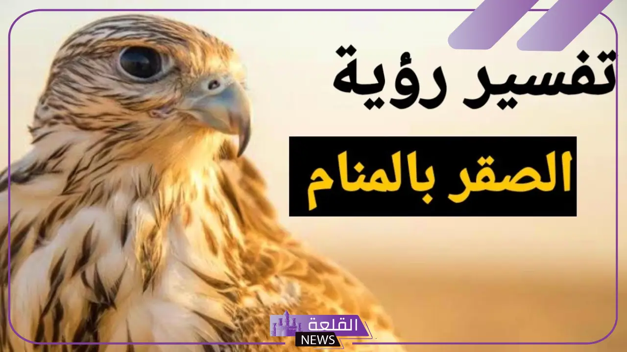 تفسير حلم الصقر في المنام لابن سيرين وعلاقته بقدوم الخير وتحقيق الأمنيات 5 رؤية الصقر في المنام
