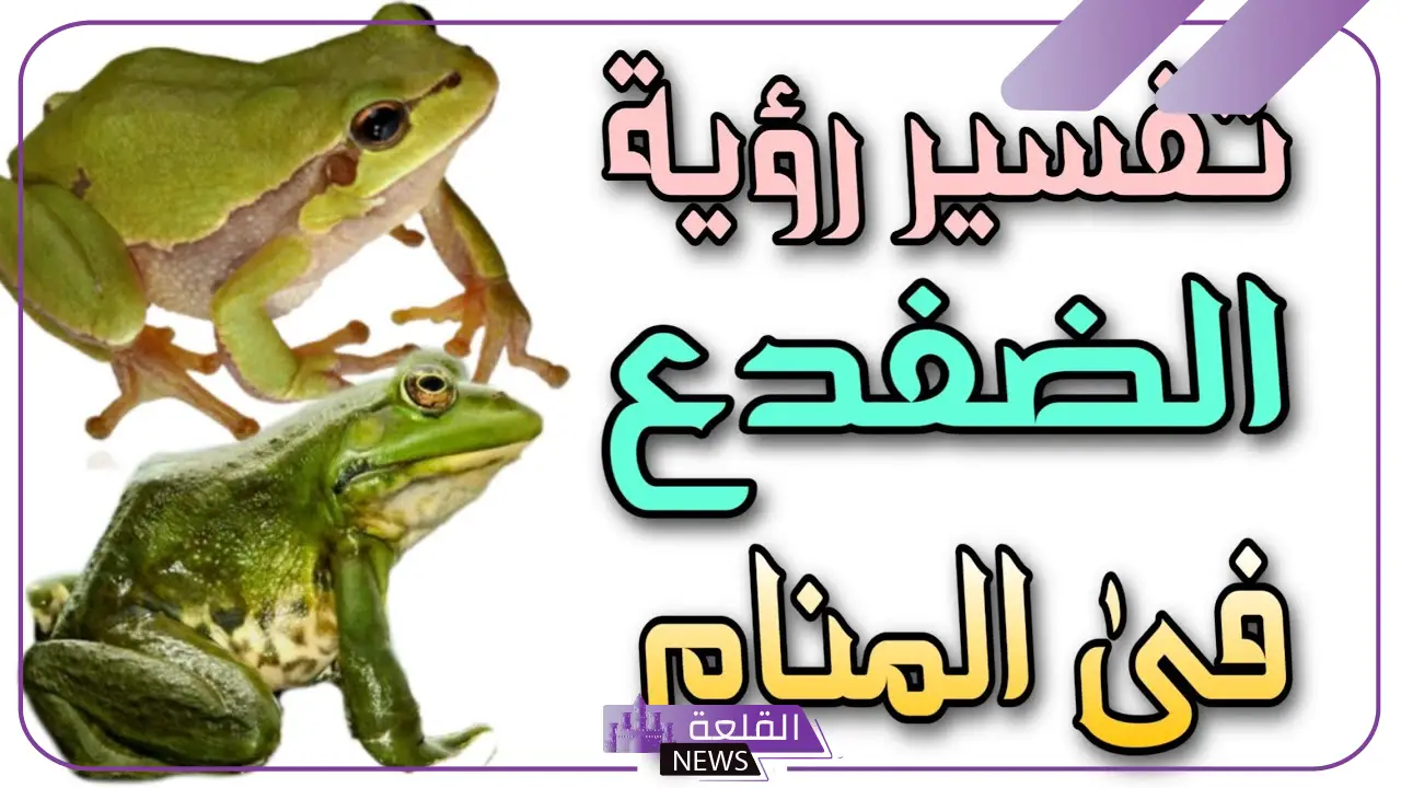 تفسير حلم الضفدع في المنام.. دلالة رؤية الضفدع في الحلم 5 تفسير رؤية الضفدع في المنام