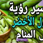 تفسير حلم الفول الاخضر في المنام لابن سيرين