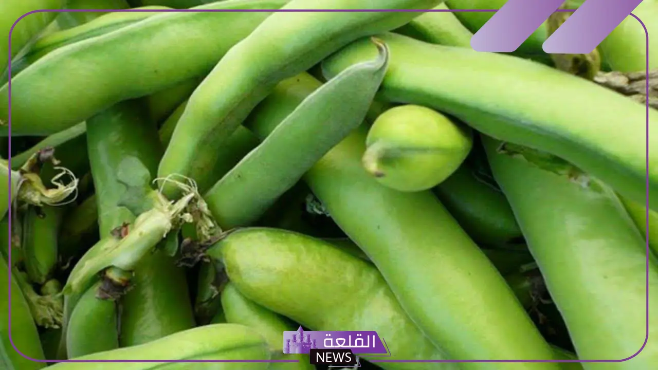 تفسير حلم الفول الاخضر في المنام لابن سيرين 6 الفول الأخضر للحامل