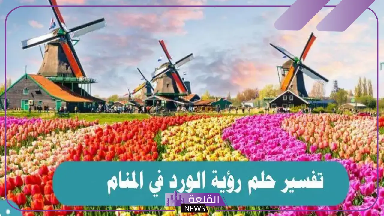 تفسير حلم الورد في المنام لابن سيرين والنابلسي وعلاقته بالمكانة الكبيرة