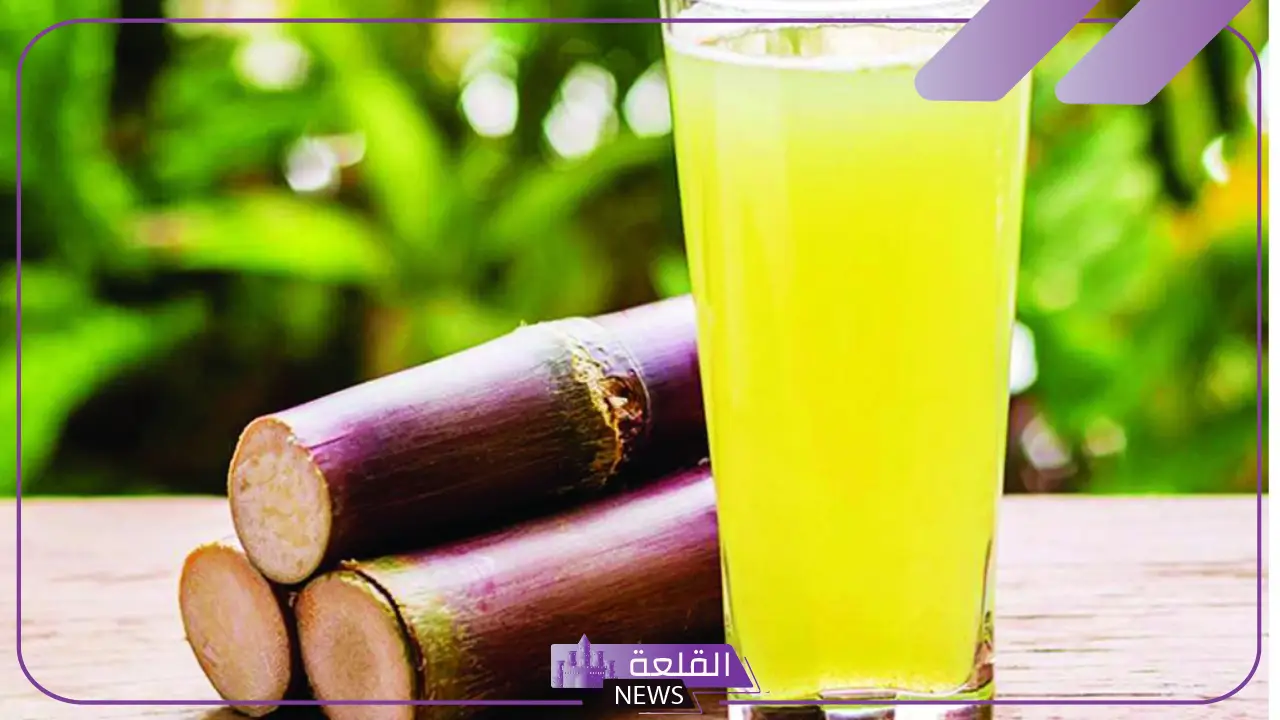 تفسير حلم رؤية القصب في المنام وعلاقته بكسب المال والمكاسب تفسير حلم رؤية القصب في المنام وعلاقته بكسب المال والمكاسب