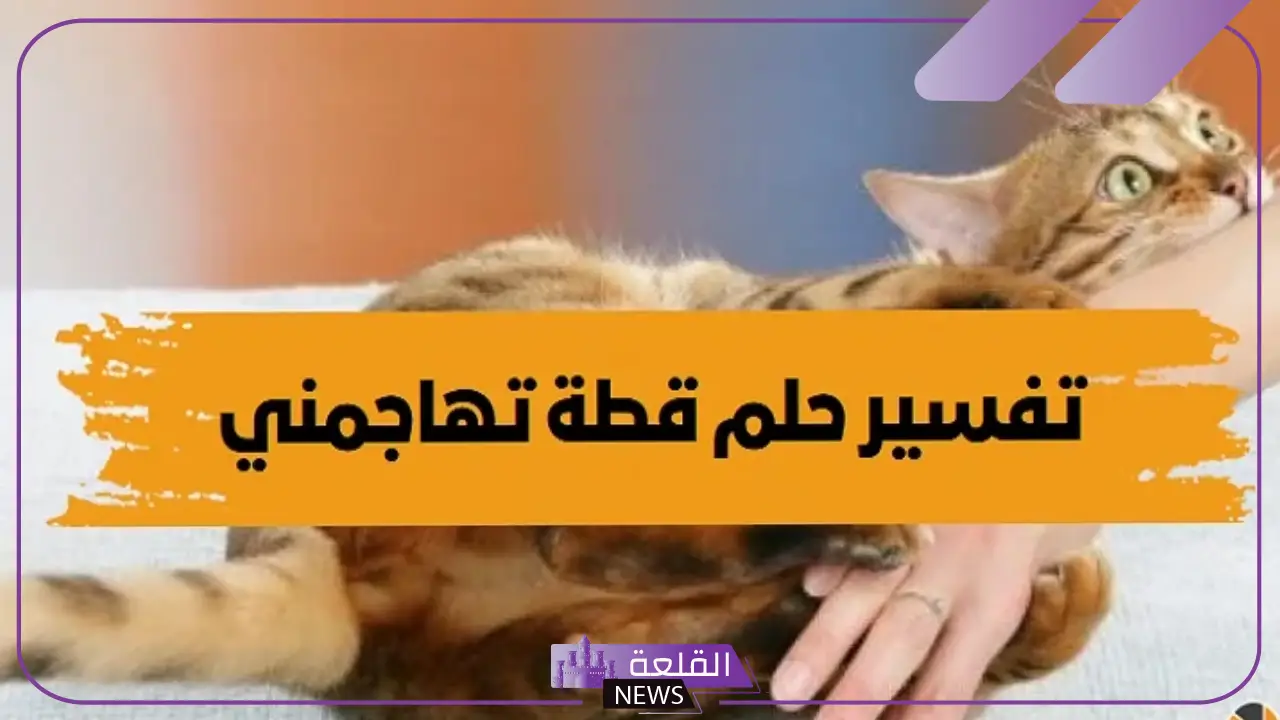 تفسير حلم قطة تهاجمني وتعضني في المنام للعزباء والمتزوجة تفسير حلم قطة تهاجمني وتعضني في المنام للعزباء والمتزوجة