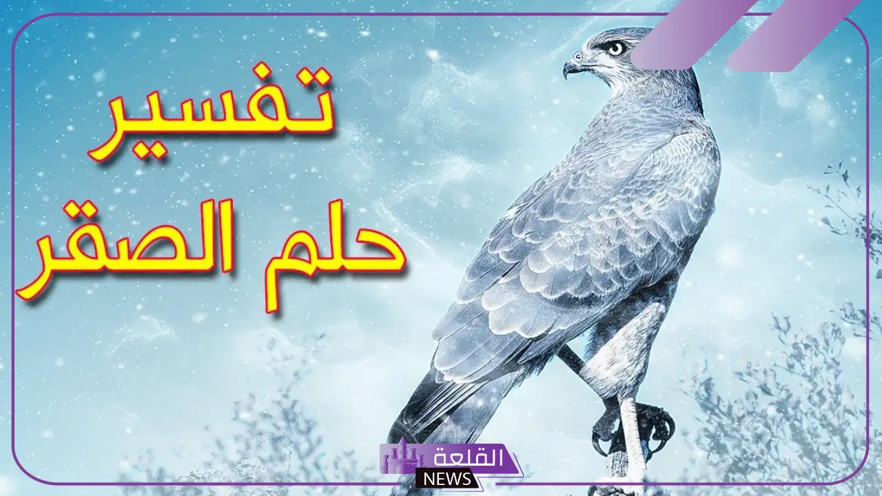 تفسير حلم الصقر في المنام لابن سيرين وعلاقته بالرزق والمكانة الاجتماعية 5 تفسير حلم الصقر في الحلم