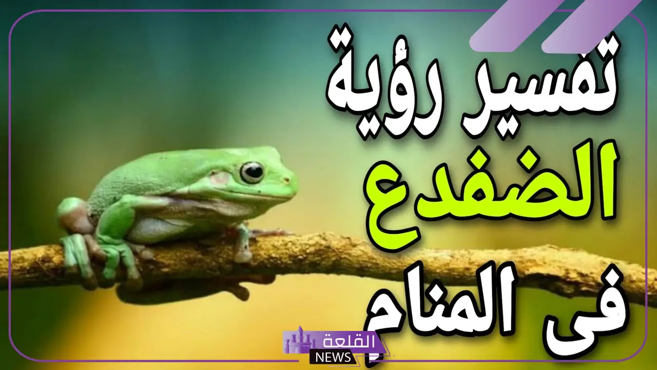 تفسير حلم الضفدع في المنام لابن سيرين.. رمز الضفدع في الحلم