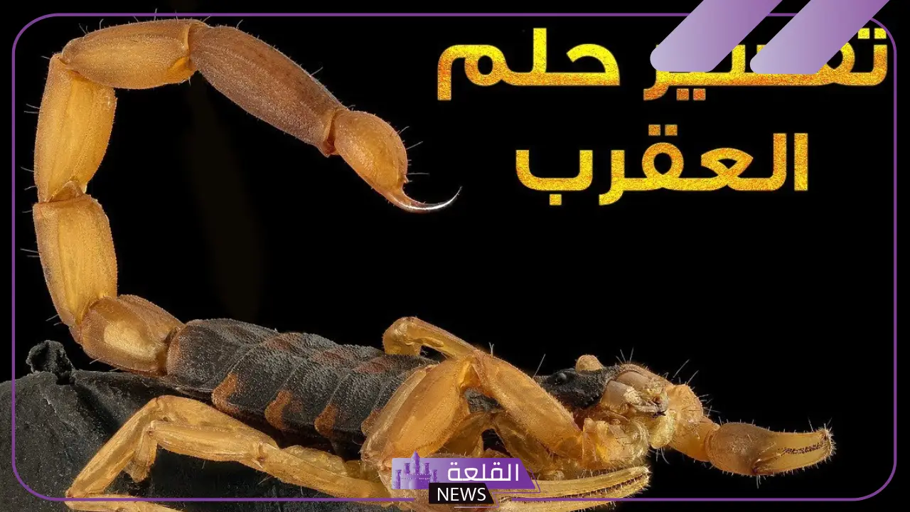 تفسير حلم لدغ العقرب في اليد لابن سيرين 6 ما هو تفسير لدغة العقرب في الحلم