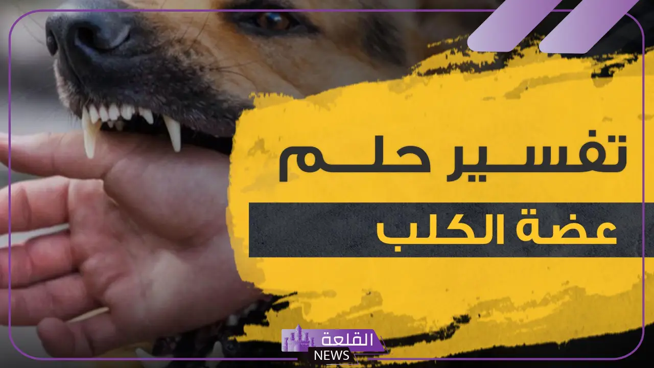 تفسير حلم عضة الكلب في المنام لابن سيرين والنابلسي 5 دلالة رؤية عضة الكلب في الحلم