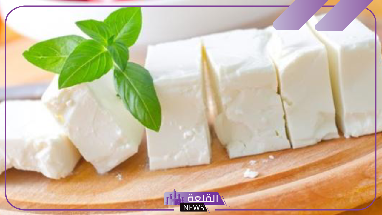 بوصفة بسيطة.. طريقة عمل الجبنة البيضاء في المنزل