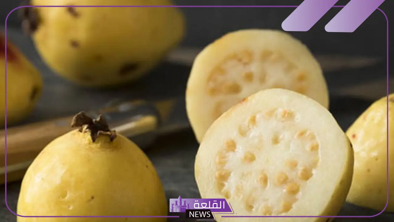 تفسير حلم اكل الجوافة في المنام لابن سيرين..على ماذا ترمز الجوافة في المنام 5 رموز ومعاني الجوافة في الحلم
