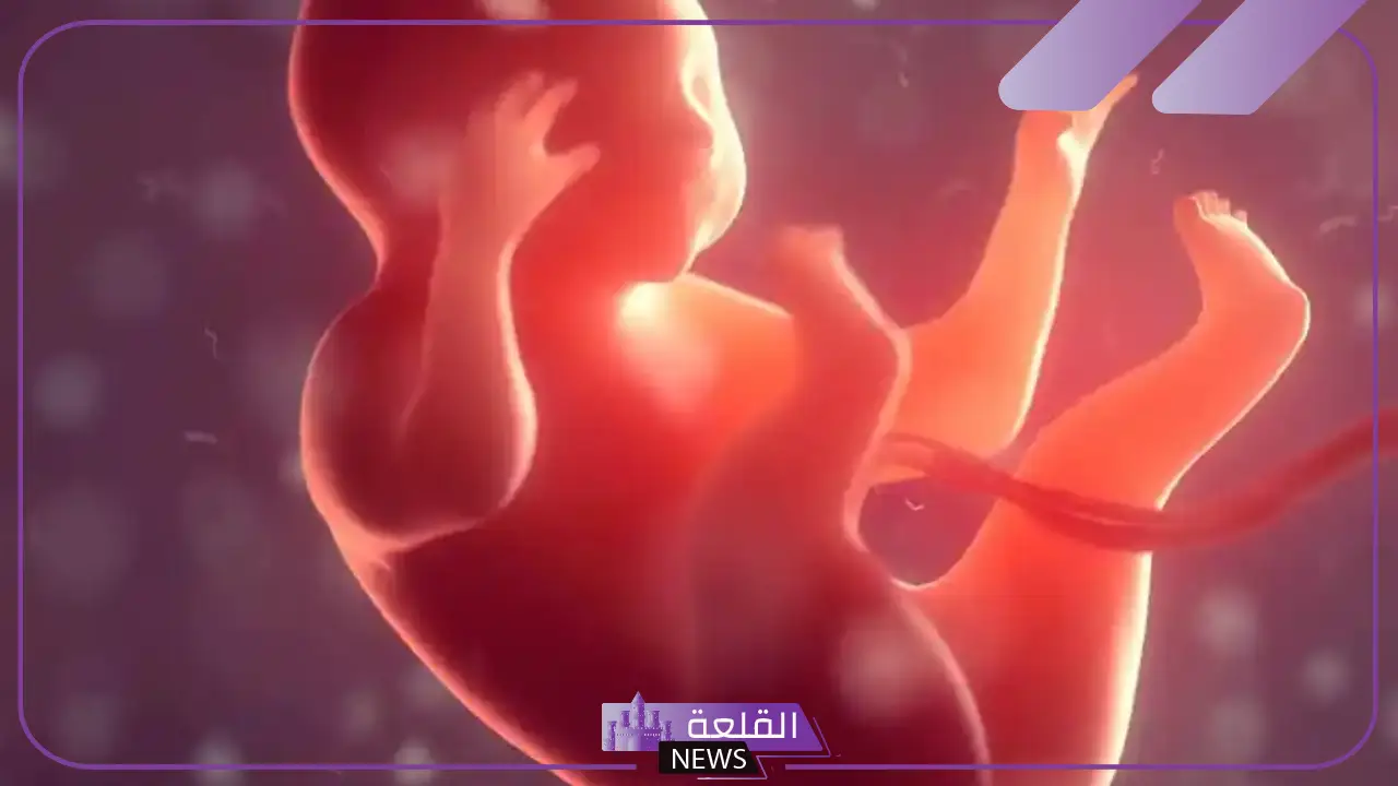 تفسير حلم الاجهاض في المنام لابن سيرين 5 الاجهاض وسقوط الجنين في المنام
