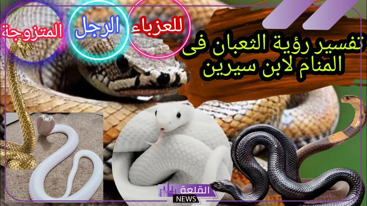 تفسير حلم الثعبان الابيض في المنام لابن سيرين للعزباء والمتزوجة 5 تفسير رؤية الثعبان الابيض في المنام لابن سيرين