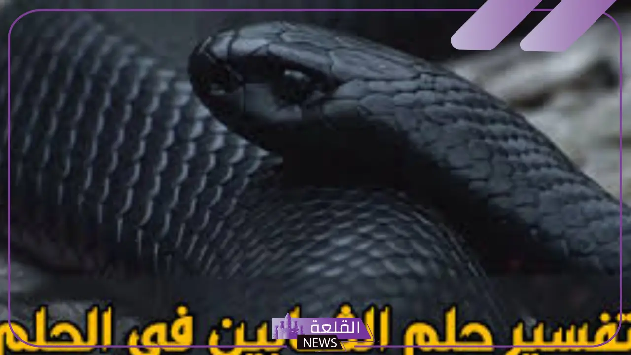 تفسير حلم ثعبان كبير في المنام.. دلالة رؤية الأفعى بمختلف ألوانها لابن سيرين