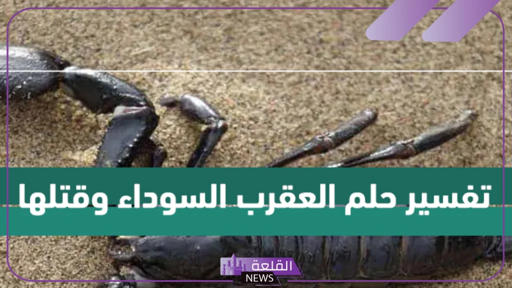تفسير حلم العقرب السوداء وقتلها في المنام لابن سيرين 5 الحلم بالعقرب الأسود