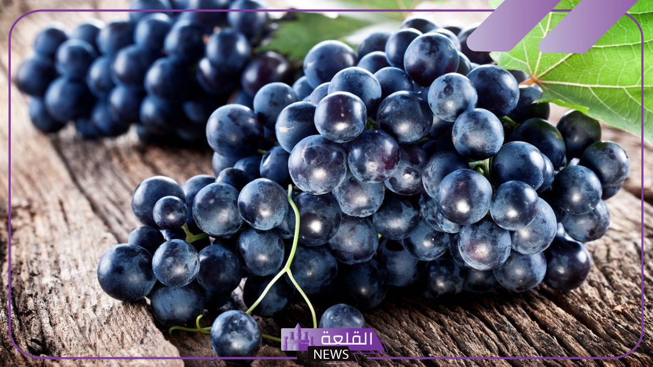 تفسير حلم العنب في المنام لابن سيرين للعزباء والمطلقة والحامل
